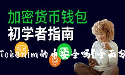 能添加到Tokenim的币安全吗？全面分析与建议