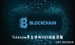 Tokenim平台中的VGS功能详解