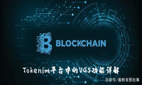 Tokenim平台中的VGS功能详解