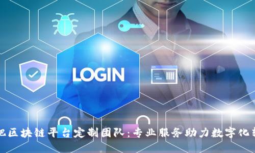 合肥区块链平台定制团队：专业服务助力数字化转型