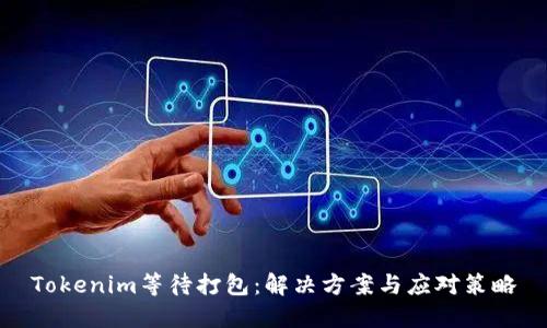 Tokenim等待打包：解决方案与应对策略