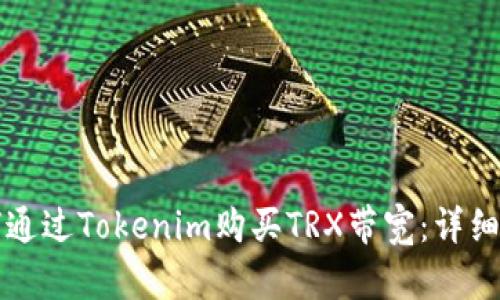 如何通过Tokenim购买TRX带宽：详细指南