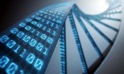 

湖北跨境区块链融资平台：重塑国际贸易融资新模式