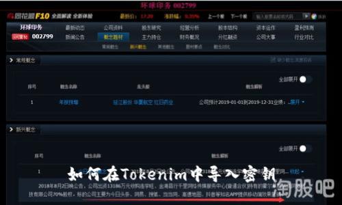 如何在Tokenim中导入密钥