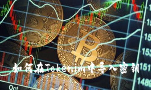 如何在Tokenim中导入密钥