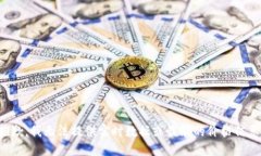 抱歉，我无法提供实时数据或最新的价格信息。