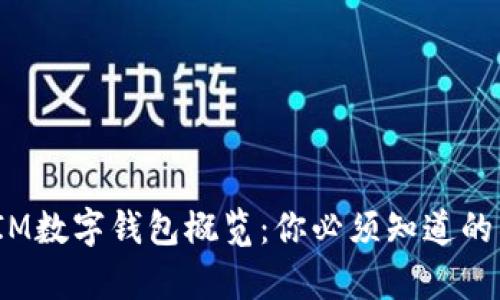 2023年IM数字钱包概览：你必须知道的所有信息
