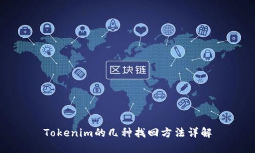 Tokenim的几种找回方法详解