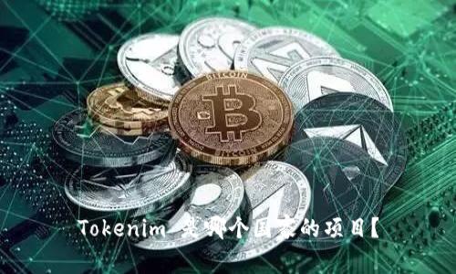 Tokenim 是哪个国家的项目？