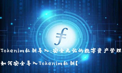 Tokenim私钥导入：安全无忧的数字资产管理

如何安全导入Tokenim私钥？