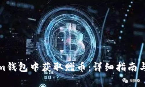 如何在Tokenim钱包中获取赠币：详细指南与常见问题解答