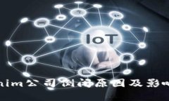 Tokenim公司倒闭原因及影响分析