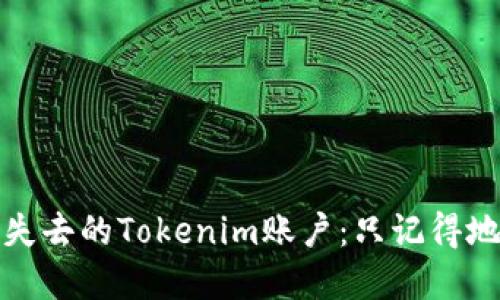 如何找回失去的Tokenim账户：只记得地址和密码