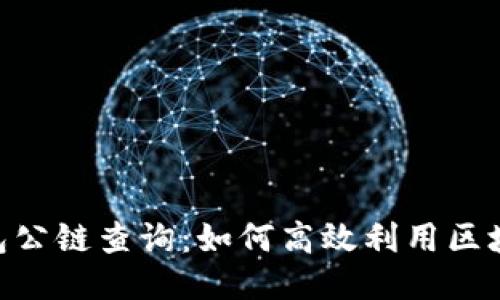 Tokenim钱包公链查询：如何高效利用区块链查询工具
