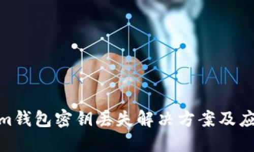 tokenim钱包密钥丢失解决方案及应对措施