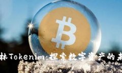 桂林Tokenim：探索数字资产的未来