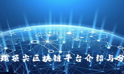 全球顶尖区块链平台介绍与分析