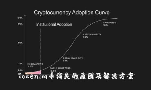 Tokenim币消失的原因及解决方案