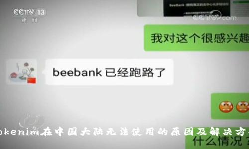 Tokenim在中国大陆无法使用的原因及解决方案