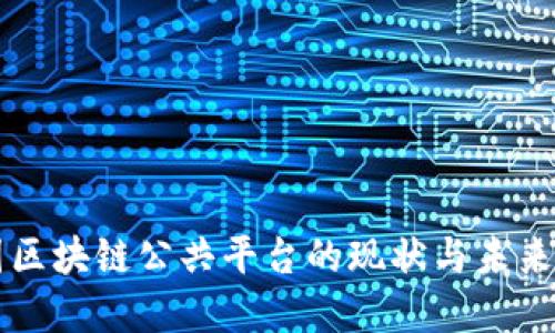 中国区块链公共平台的现状与未来发展