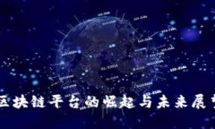 区块链平台的崛起与未来展望