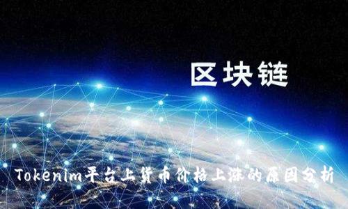 Tokenim平台上货币价格上涨的原因分析