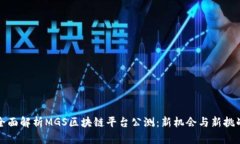 全面解析MGS区块链平台公测：新机会与新挑战