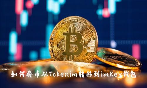 如何将币从Tokenim转移到imKey钱包