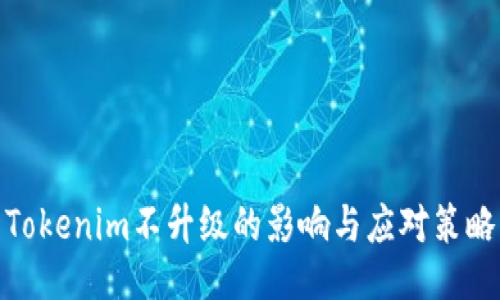 Tokenim不升级的影响与应对策略