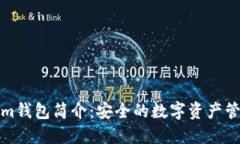 Tokenim钱包简介：安全的数字资产管理工具