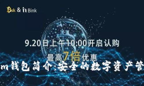 Tokenim钱包简介：安全的数字资产管理工具