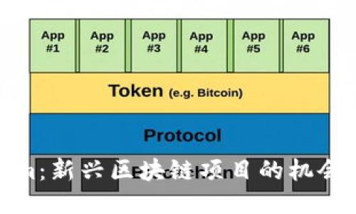 Tokenim：新兴区块链项目的机会与挑战