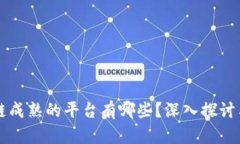 区块链成熟的平台有哪些？深入探讨与分析