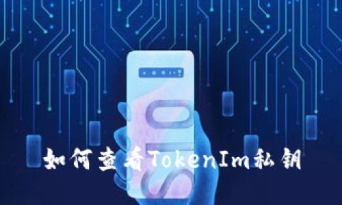 如何查看TokenIm私钥