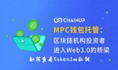 如何查看TokenIm私钥