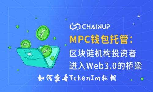 如何查看TokenIm私钥