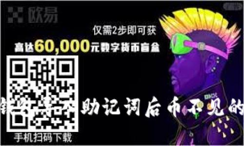 Tokenim钱包导入助记词后币不见的处理方法